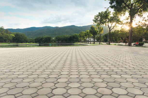 Best Commercial Driveway Pavers  in Palm Shores, FL